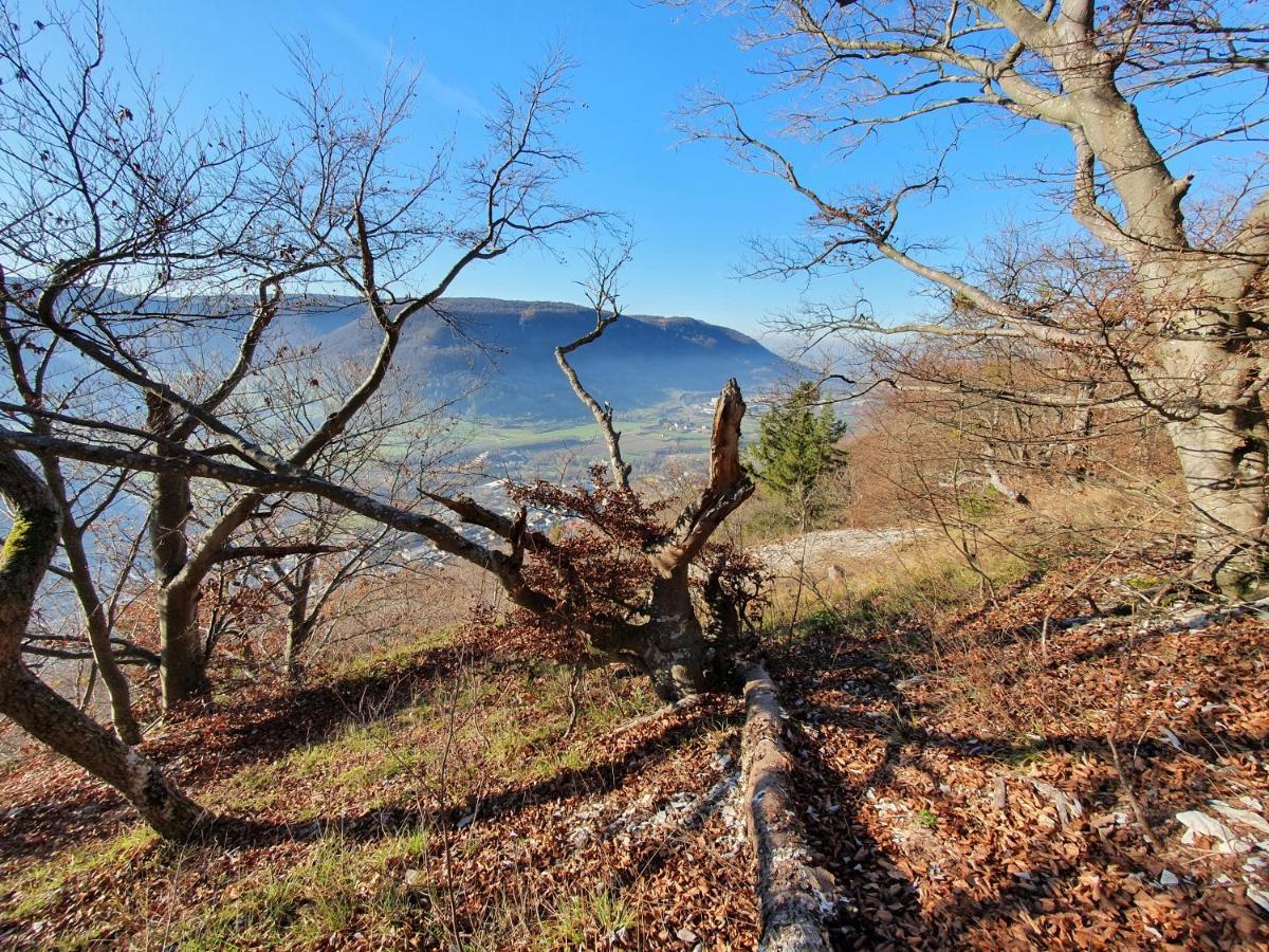 Quiet Business Flat Or Vacation Home In Bad Urach Exteriér fotografie