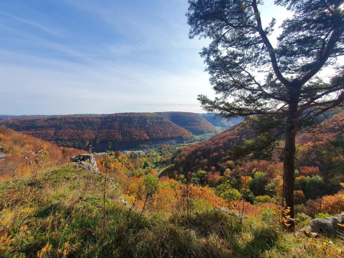 Quiet Business Flat Or Vacation Home In Bad Urach Exteriér fotografie